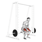 Smith Hack Squat exercise animation