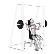 Smith Shoulder Press form demonstration - targeted for Delts Shoulders workouts