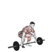 Snatch Pull exercise animation
