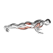 Spider Crawl Push Up exercise animation