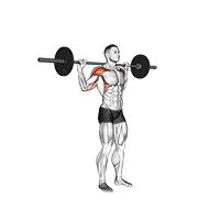 Standing Behind Neck Press exercise animation