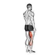 Standing Single Leg Curl exercise animation