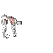 Standing Wheel Rollerout exercise animation