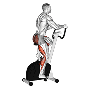 Stationary Bike Walk form demonstration - targeted for Cardiovascular System Cardio workouts