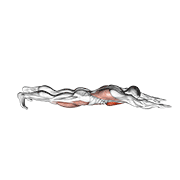 Superman Push-Up exercise animation