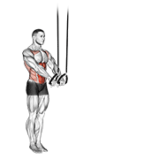 Suspended Abdominal Fallout exercise animation