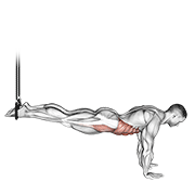 Suspended Reverse Crunch exercise animation