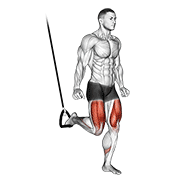 Suspended Split Squat form demonstration - targeted for Quads Upper Legs workouts