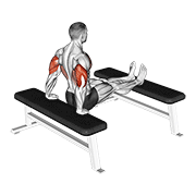 Triceps Dip (bench Leg) form demonstration - targeted for Triceps Upper Arms workouts