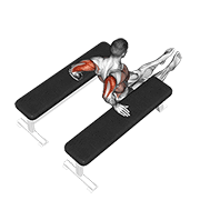 Triceps Dip (between Benches) form demonstration - targeted for Triceps Upper Arms workouts
