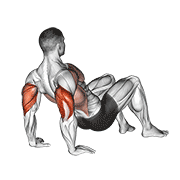 Triceps Dips Floor form demonstration - targeted for Triceps Upper Arms workouts