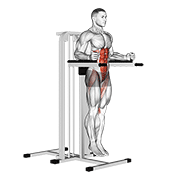 Vertical Leg Raise (on Parallel Bars) exercise animation