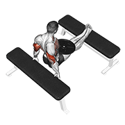 Weighted Bench Dip form demonstration - targeted for Triceps Upper Arms workouts