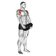Weighted Front Raise form demonstration - targeted for Delts Shoulders workouts