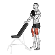 Weighted Sissy Squat form demonstration - targeted for Quads Upper Legs workouts