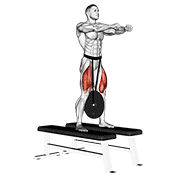 Weighted Squat exercise animation
