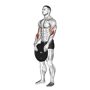 Weighted Standing Curl exercise animation