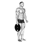 Weighted Standing Hand Squeeze exercise animation
