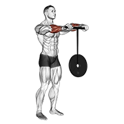 Wrist Rollerer form demonstration - targeted for Forearms Lower Arms workouts
