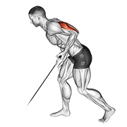 Cable Kickback exercise animation