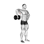 Dumbbell Upright Shoulder External Rotation exercise animation