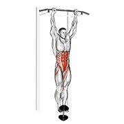 Weighted Hanging Leg-Hip Raise exercise animation