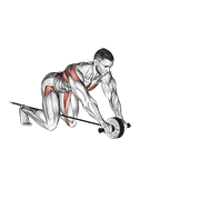 Band Assisted Wheel Rollerout exercise animation