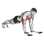 Band Close-Grip Push-Up form demonstration - targeted for Triceps Upper Arms workouts