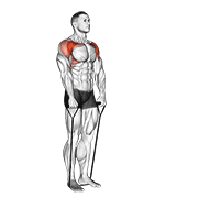 Band Front Raise exercise animation