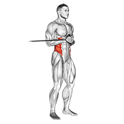 Band Horizontal Pallof Press form demonstration - targeted for Abs Waist workouts