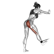 Band Bent-Over Hip Extension exercise animation