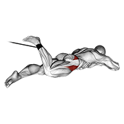 Band Lying Hip Internal Rotation exercise animation