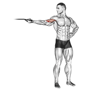 Band One Arm Overhead Biceps Curl form demonstration - targeted for Biceps Upper Arms workouts