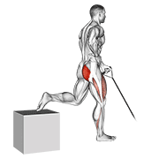 Band One Arm Single Leg Split Squat exercise animation