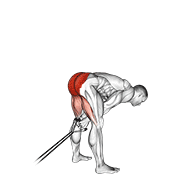 Band Pull Through exercise animation
