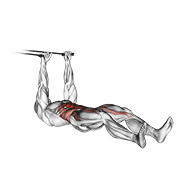 Band Push Sit-Up form demonstration - targeted for Abs Waist workouts