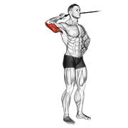 Band Side Triceps Extension exercise animation