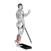 Band Single Leg Calf Raise exercise animation