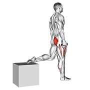 Band Single Leg Split Squat exercise animation