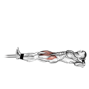 Band Lying Straight Leg Raise exercise animation