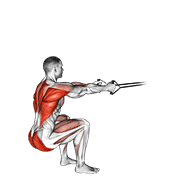 Band Squat Row form demonstration - targeted for Glutes Upper Legs workouts