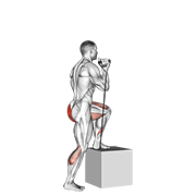 Band Step-Up exercise animation
