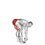 Band Stiff Leg Deadlift form demonstration - targeted for Glutes Upper Legs workouts
