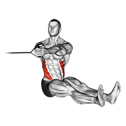 Band Seated Twist exercise animation