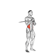 Band Vertical Pallof Press form demonstration - targeted for Abs Waist workouts