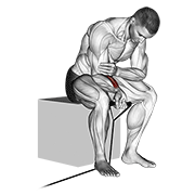 Band Wrist Curl exercise animation