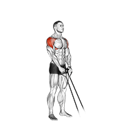 Band Y-Raise form demonstration - targeted for Delts Shoulders workouts
