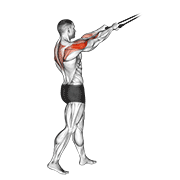 Band Standing Rear Delt Row exercise animation