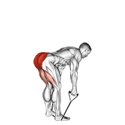 Band Straight Back Stiff Leg Deadlift exercise animation