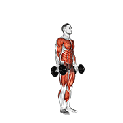 Dumbbell Burpee exercise animation